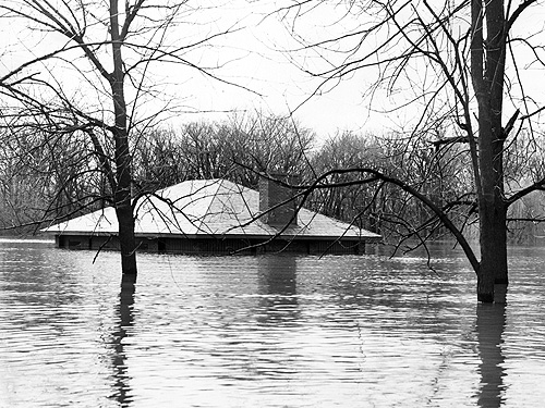 flood195120